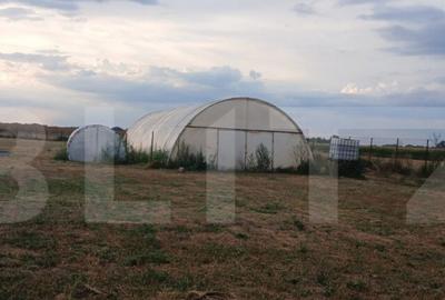 Teren intravilan in Tarian, strada Mestesugarilor,perfect pe - 2