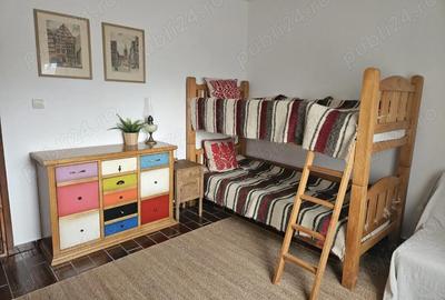 Casă cu 2 camere cu Teren 1500 Mp în Sacoșu Turcesc - 5