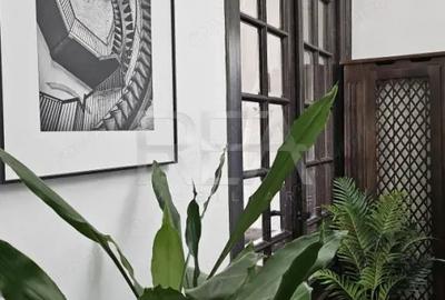 Casă cu 11 camere cu Teren 637 Mp în Cișmigiu - 11