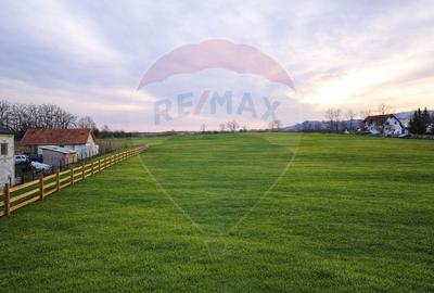 Teren Construcții extravilan de 4000 mp, în Vințu de Jos - 3