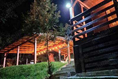 Vand Cabana cu ciubar (Fenes jud Alba) - 1