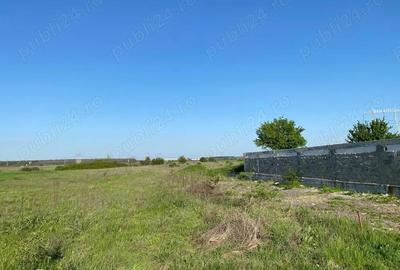 Teren de 3600 mp, în Ciorogârla - 3