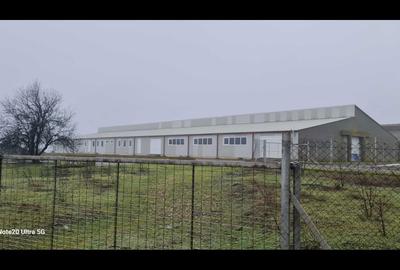 Teren de 32277 mp, în Ulmu - 1