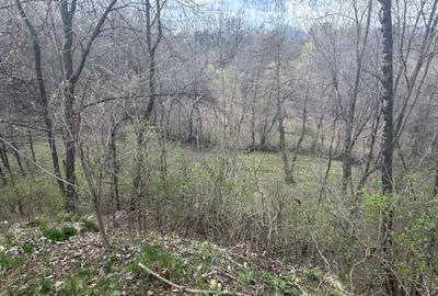 Spațiu comercial, în Central - 1