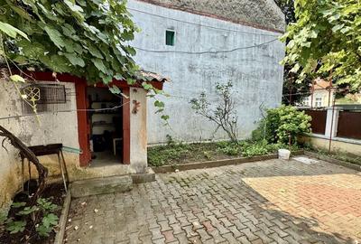 Oază de liniște cu curte în zona Blumana - 23