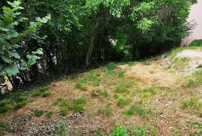 Teren Moroasa 1000 mp intravilan negociabil - 7