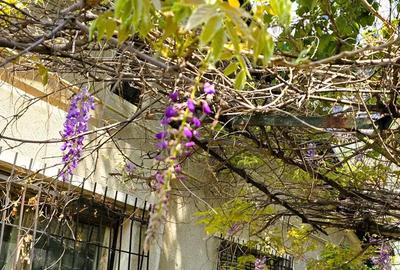 Casă cu 2 camere cu Teren 380 Mp în Central - 4