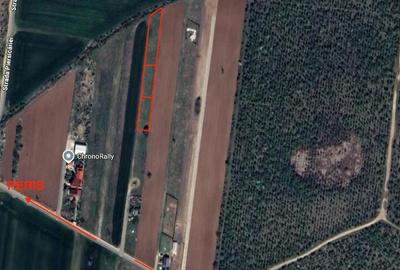 Terenuri IN RATE 500 /luna, teren 25 Peris, Tancabesti - 18