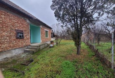 Casă în Peciu Nou - 8