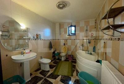 2 Case in aceeasi curte, 500 mp,  zona Miroslava-Family Market 2 Case in aceeasi curte, 500 mp,  zona Miroslava-Family Market - 9