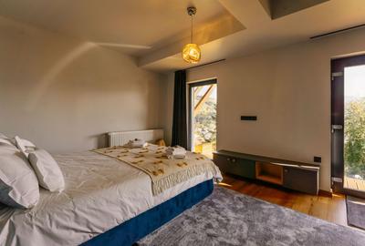 Hotel/Pensiune, de 125 mp, în Vest - 21