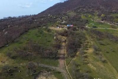 Teren în Central - 5