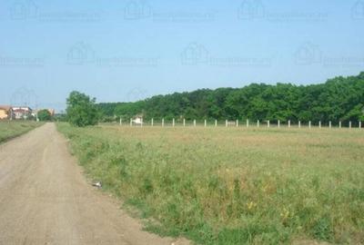 Teren de 1058 mp, în Băneasa