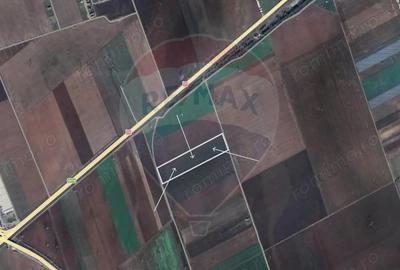 Teren de 23000 mp, în Hărman - 1