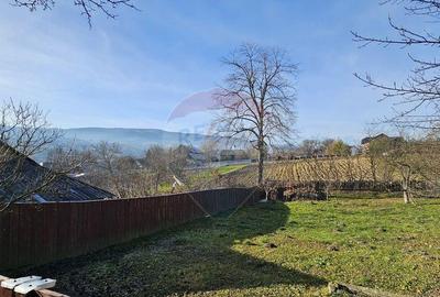 Casa / Vila cu 3 camere de vanzare-Cacica-Suceava - 1