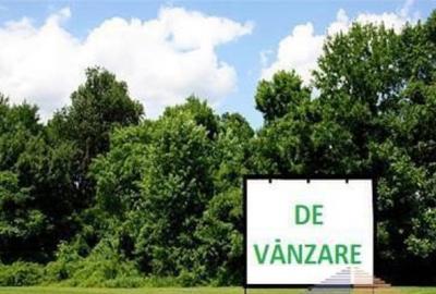 Teren intravilan, 12.200mp, zona Francei. (2 parcele-se va - 2