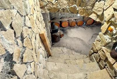 Casă cu 4 camere cu Teren 800 Mp în Kogălniceanu - 5