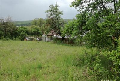 Teren de 4450 mp, în Budiului - 1