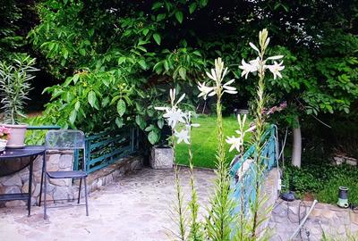 Vanzare vila cu D+P+Et +M, intravilan 1670 mp, Saftica - 41