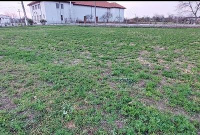 Teren de 1260 mp, în Ceamurlia de Jos - 5