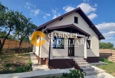 Casă individuală cu 3 camere în Lunca Cetățuii