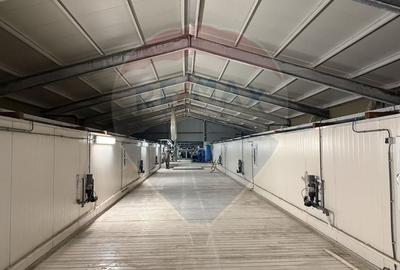 Proprietate specială, de 430,000 mp, în Adunații-Copăceni - 26