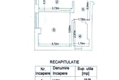 Persoana Fizica, Tatarasi - Oancea, bloc nou, loc parcare, accept pisici - 13