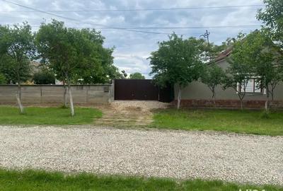 Casă cu 3 camere cu Teren 2000 Mp în Turnu - 5