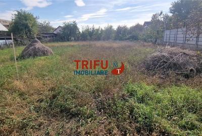 Casă de vânzare zona Cetate Schit 740 mp teren - 12