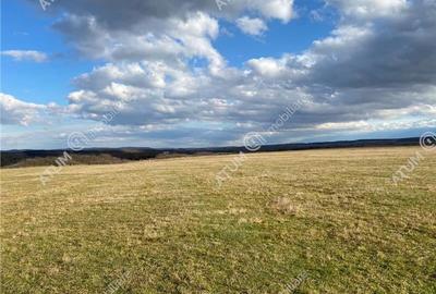 Parcela teren extravilan de 486 mp situat in Cristian - 7