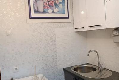 Va propun spre inchiriere o garsoniera in zona lujerului - 3