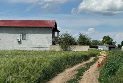 Vanzare Teren intravilan 500mp Cernica Balaceanca Ilfov - 7