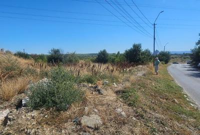 Teren intravilan 14.168 mp – pozitie excelenta la intrarea in Braila - 9