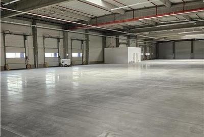 Spatiu Industrial - 2300 mp - Productie - Depozitare - 5