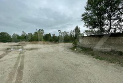 Teren Construcții intravilan de 62725 mp, în Craiovița Nouă - 1