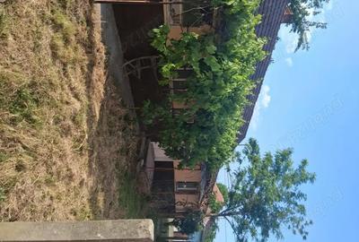 Casă cu 3 camere în Central - 3