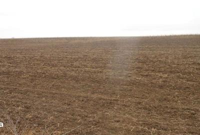 Teren de 2000 mp, în Negrilești - 1