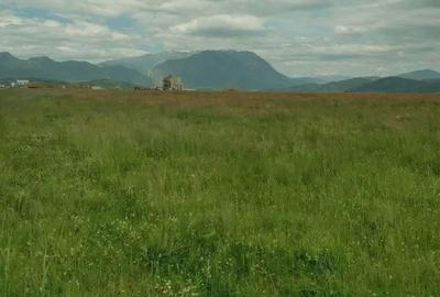 Teren agricol extravilan de 48000 mp, în Exterior Nord - 1