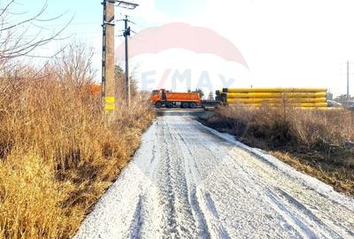 Teren agricol extravilan de 4956 mp, în Letea Veche - 10