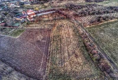 Teren de 1,200 mp cu potential in Covasant, strada Liliacului - 9