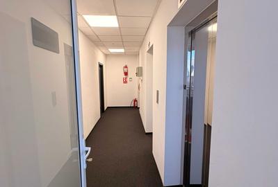 Spațiu comercial, de 430 mp, în Dosu Bricii - 1