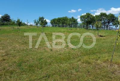 Teren Construcții de 1974 mp, în Loman - 1