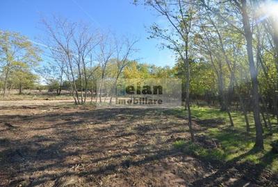 Snagov - Ciofliceni, Str Serban Cantacuzino 882 Mp, Asfalt, Utilitati Snagov - Ciofliceni, Str Serban Cantacuzino 882 Mp, Asfalt, Utilitati - 3