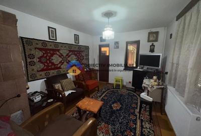 Casa traditionala de vanzare in comuna Podoleni, jud. Neamt - 13