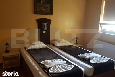 Spațiu comercial, de 450 mp, în Lugojului - 2