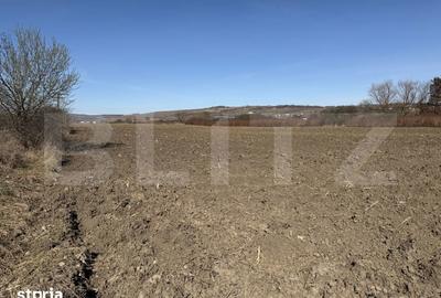Teren de 4000 mp, în Hereclean - 1