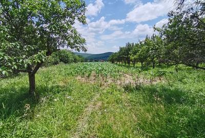 Zona in Expansiune! Teren-5.000 mp/ Arges/Burlusi/Ciofrangeni - 9