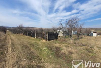 Teren 5300 mp Intravilan in Goruni – Tomesti - 10