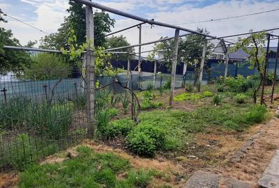 Proprietar vand casa Hemeius - 3