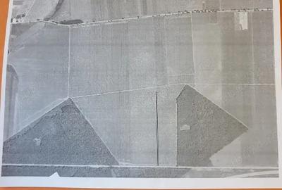 Teren agricol extravilan de 5000 mp, în Belciugatele - 2